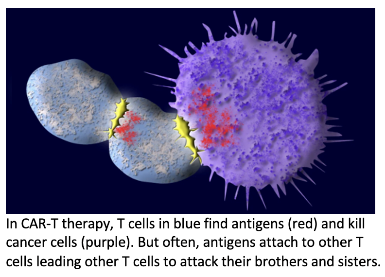 Effectiveness of Bicistronic CD19/CD22-Directed CAR T-Cell Therapy 